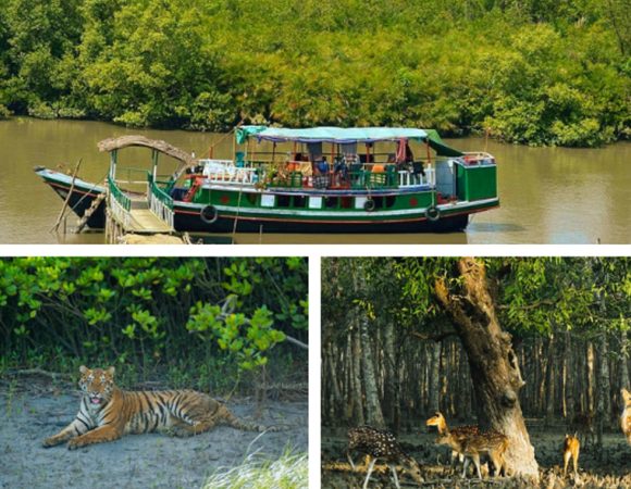 Sundarban – 3 Days (29th Dec – 31th Dec,2023)