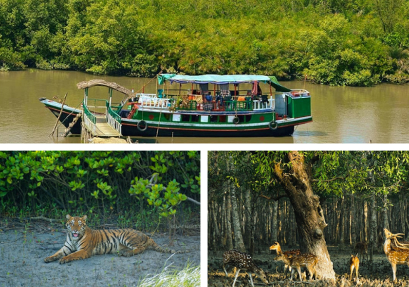 Sundarban - 3 Days (29th Dec - 31th Dec,2023)